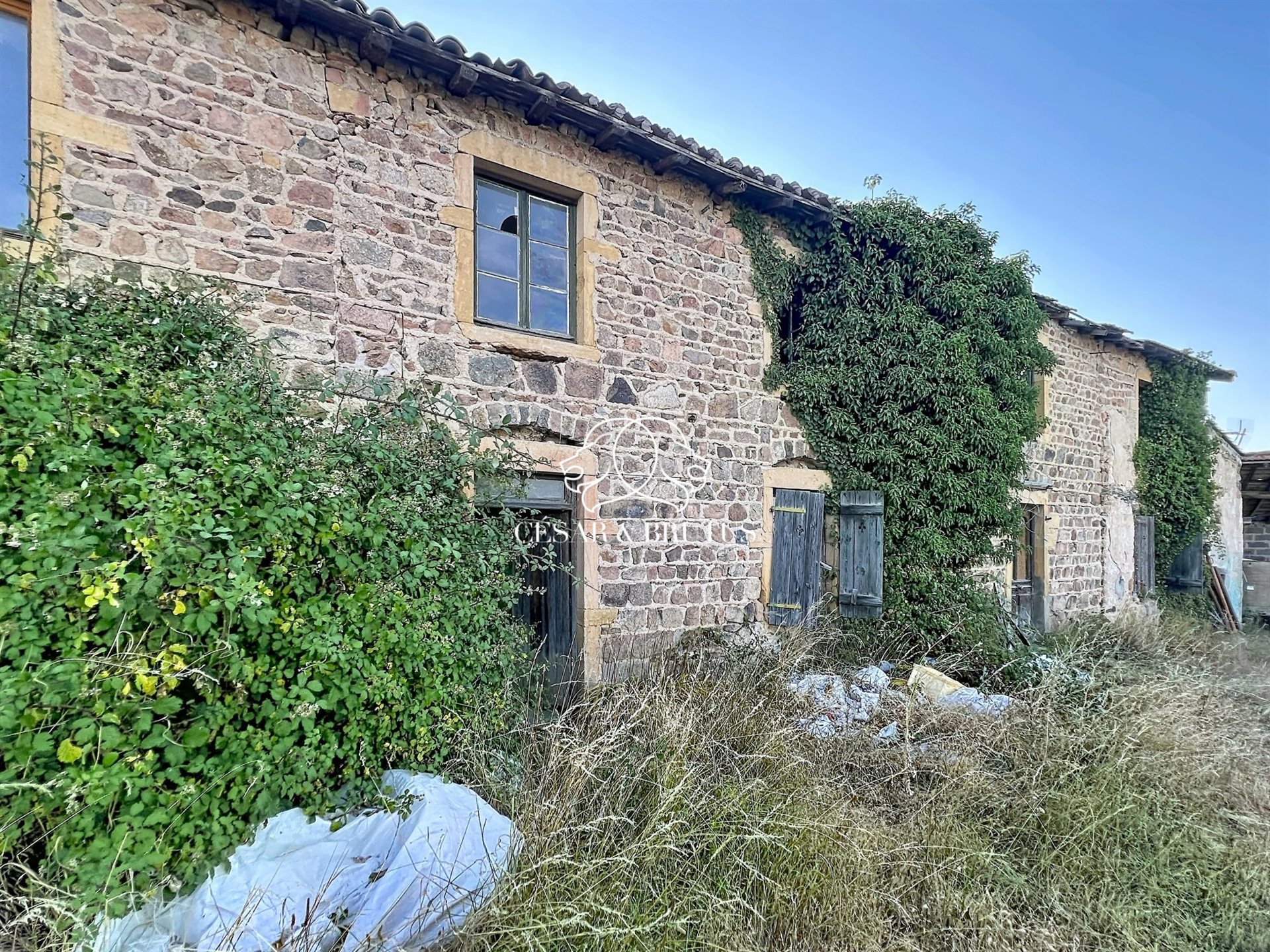 Maison à vendre, 750m², Saint-Jean-Saint-Maurice-sur-Loire