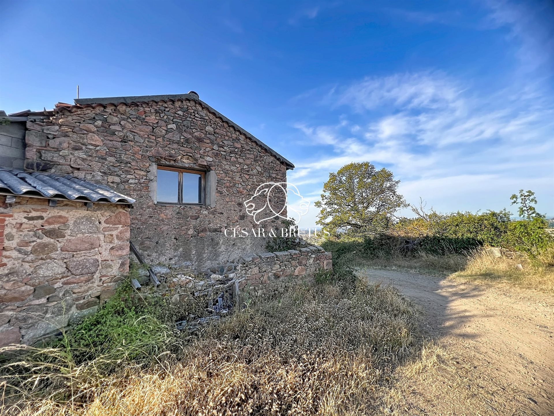 Maison à vendre, 750m², Saint-Jean-Saint-Maurice-sur-Loire