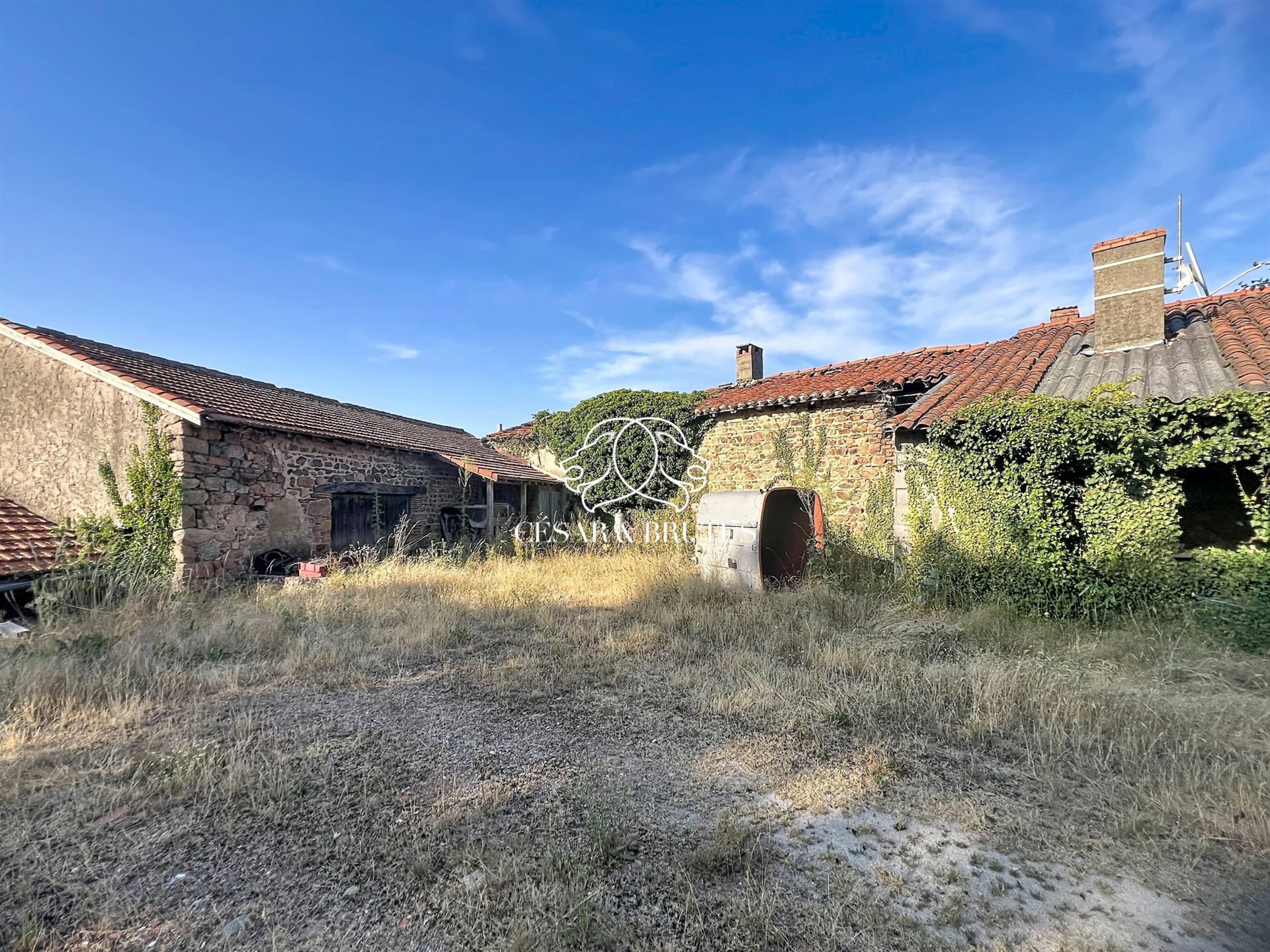 Maison à vendre, 750m², Saint-Jean-Saint-Maurice-sur-Loire