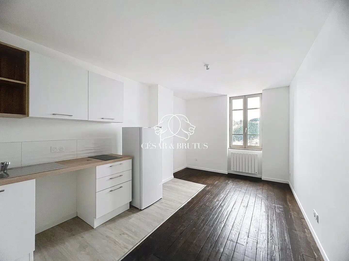 Appartement à louer, 42m², Thizy