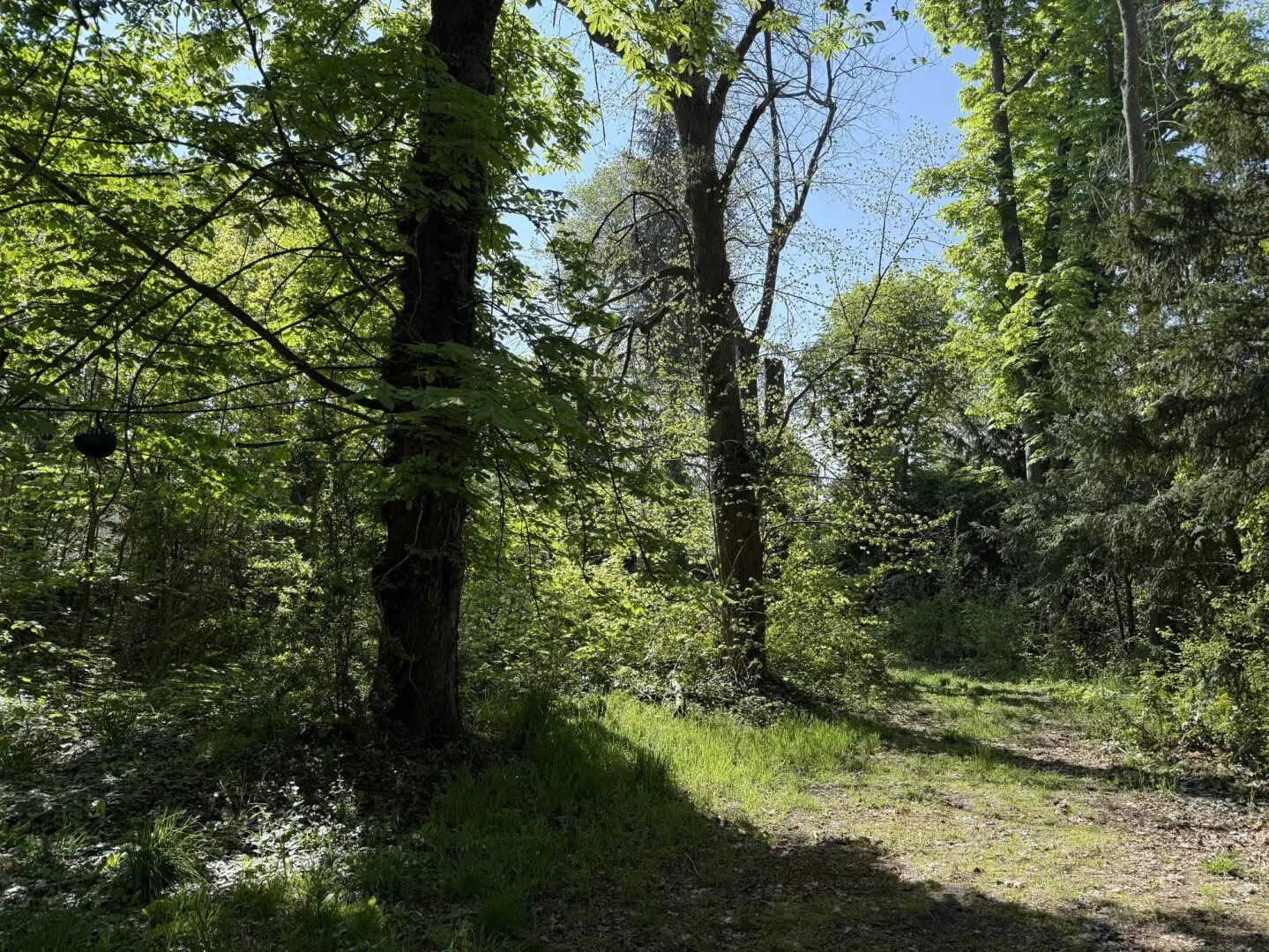 Maison à vendre, 320m², Le Vésinet