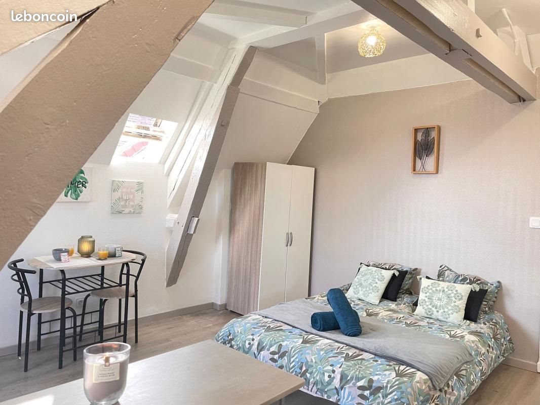 Appartement à louer, 18m², Sainte-Savine