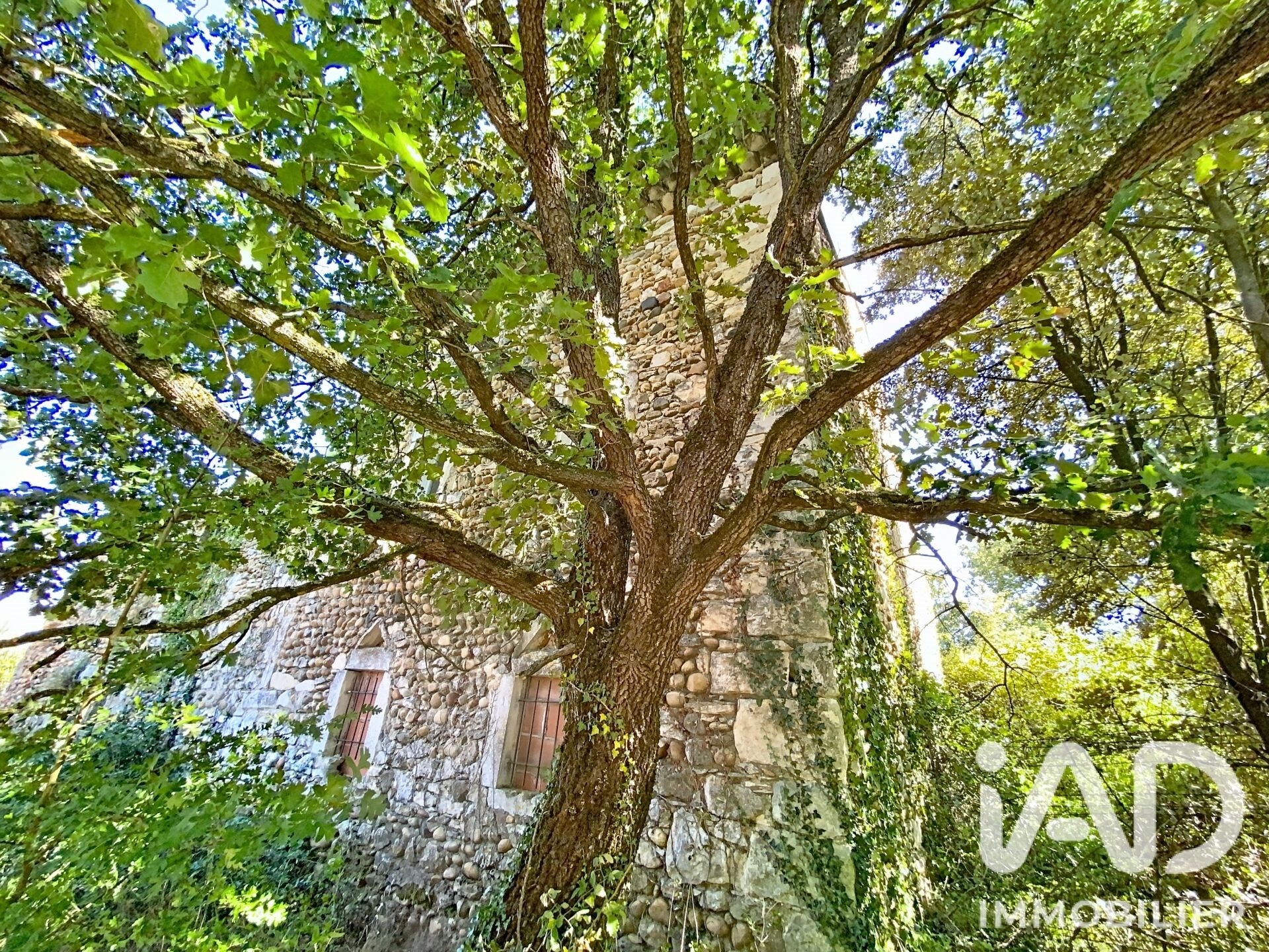 Maison à vendre, 330m², Allan