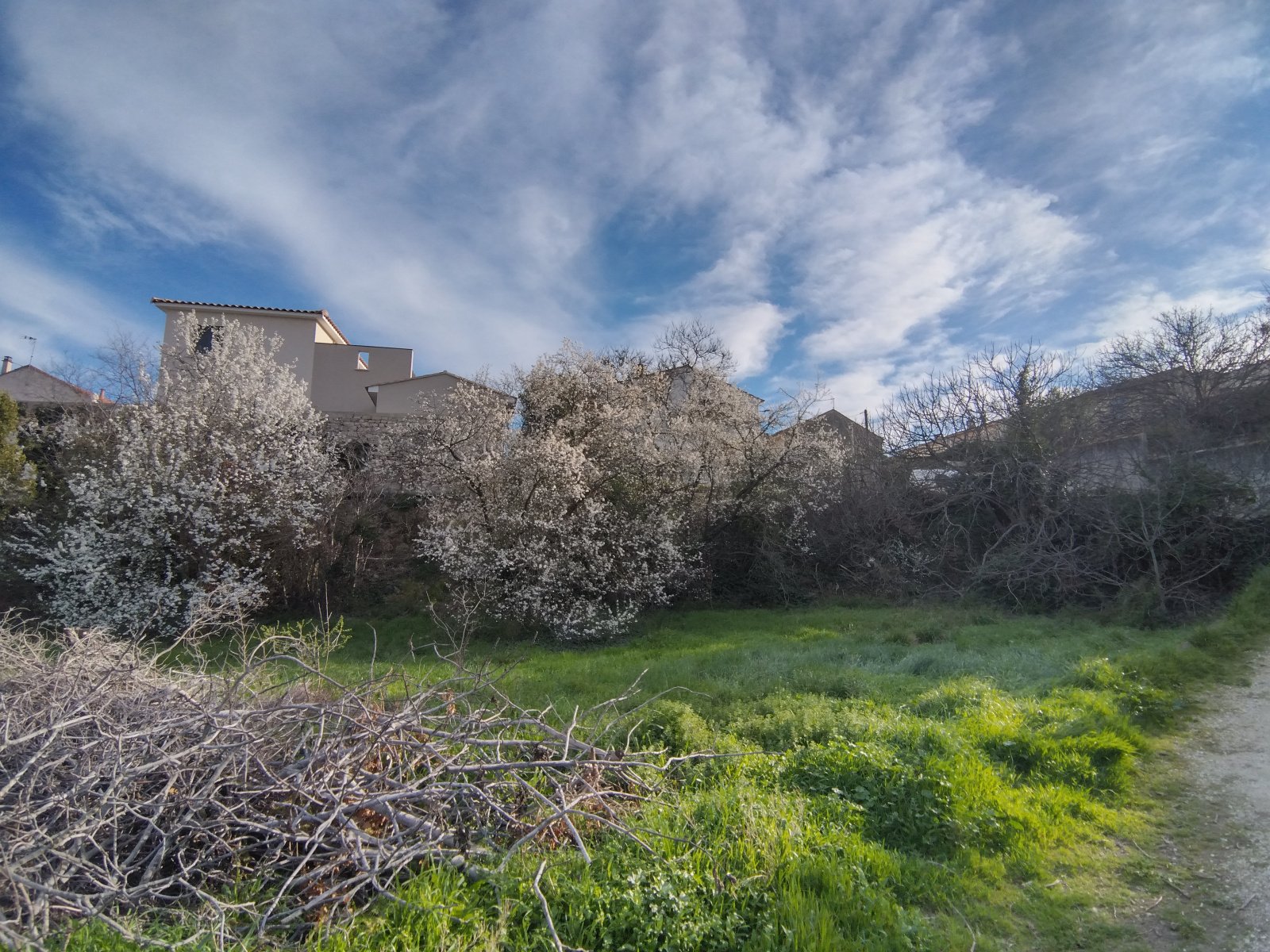 Maison à vendre, 637m², Arles