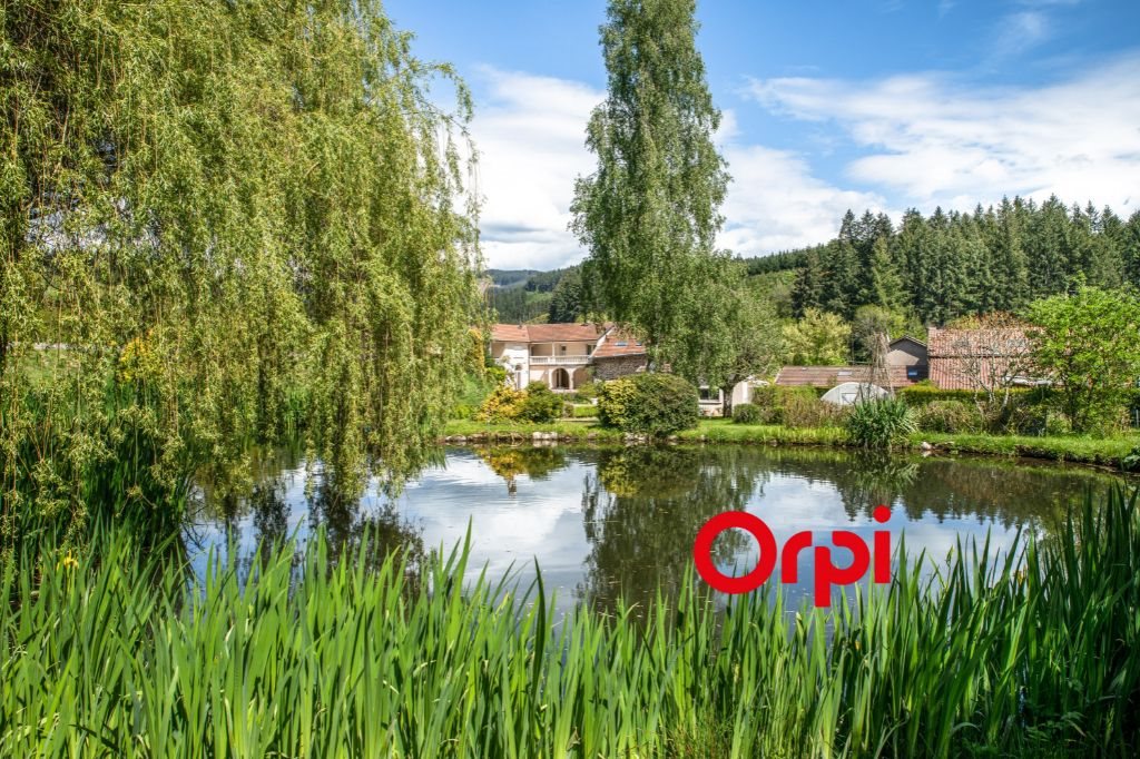 Maison à vendre, 316m², Saint-Vincent-de-Reins