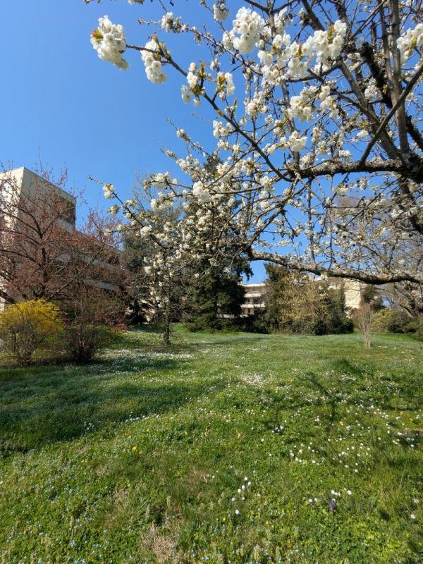 Appartement à vendre, 92m², Tassin-la-Demi-Lune
