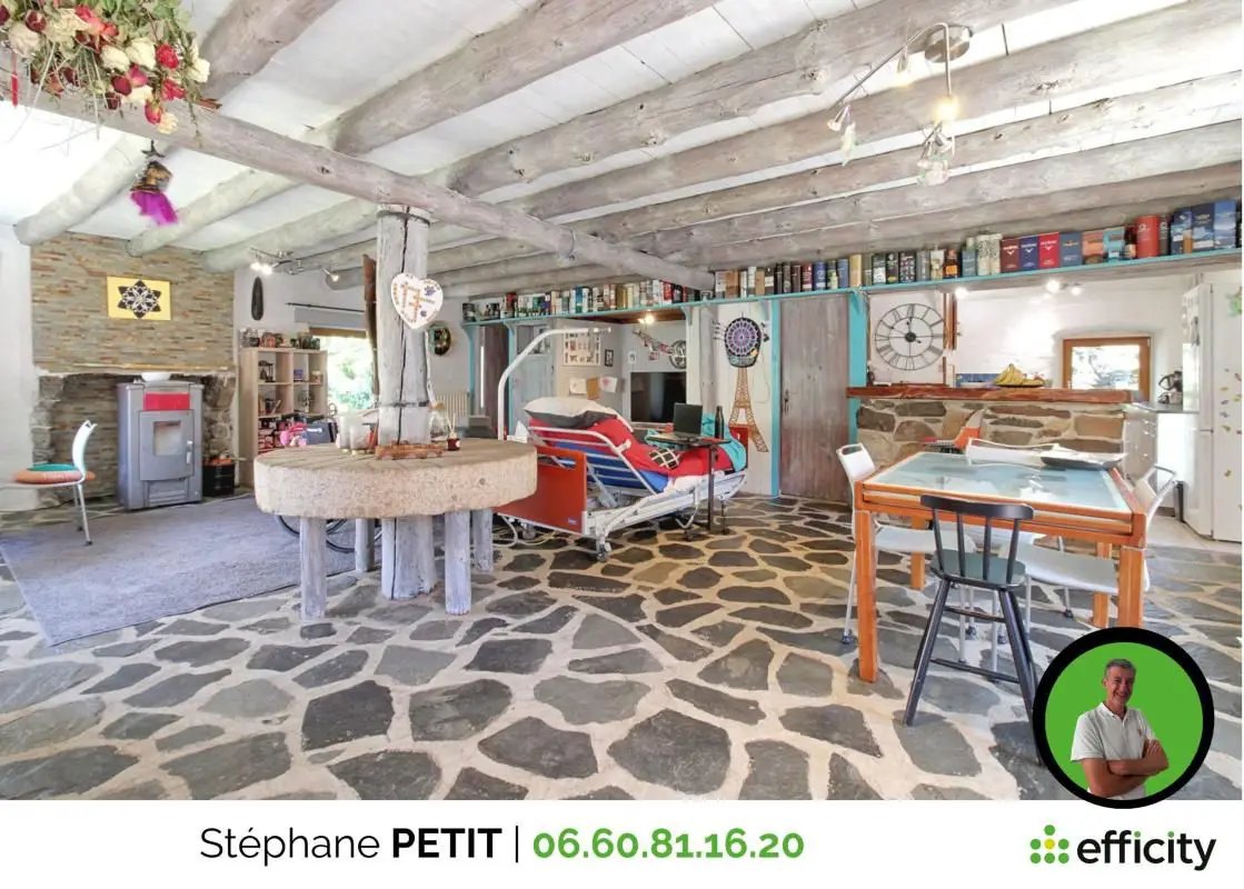 Maison à vendre, 312m², Sanssac-l'Église