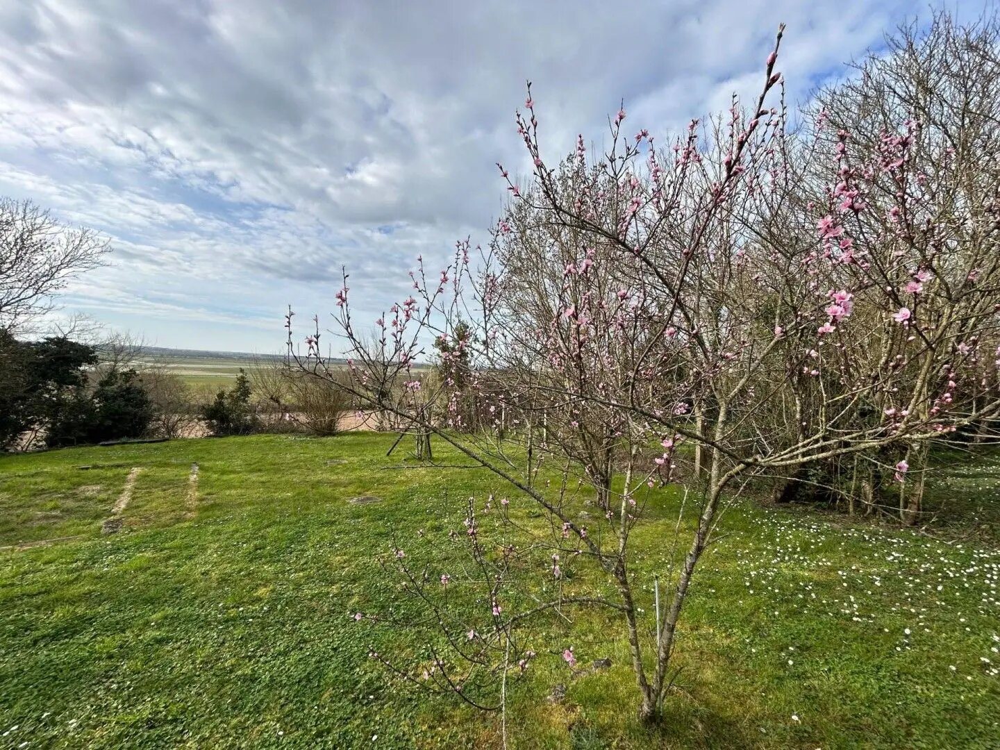 Maison à vendre, 101m², Lairoux