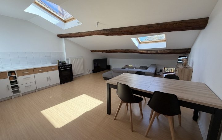 Appartement à louer, 44m², Saint-Jean-le-Vieux