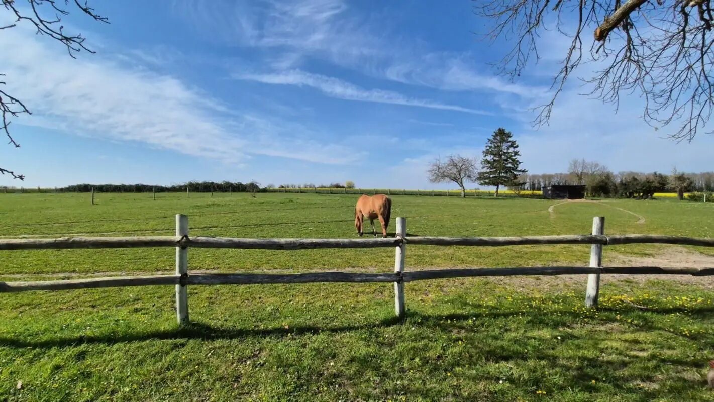 Maison à vendre, 244m², Châtillon-sur-Indre