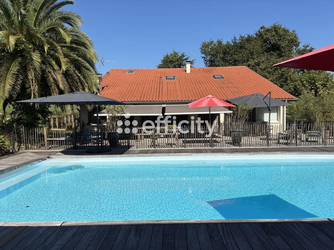 Maison à vendre, 300m², Peyrehorade