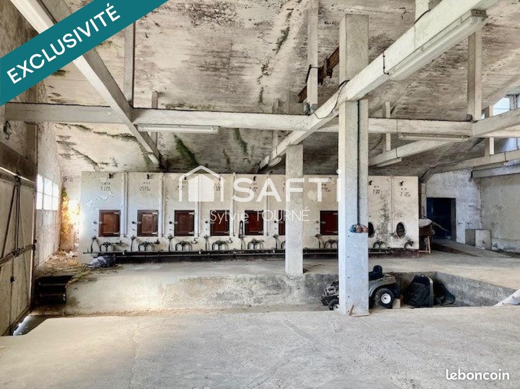 Maison à vendre, 280m², Castelnau-d'Auzan