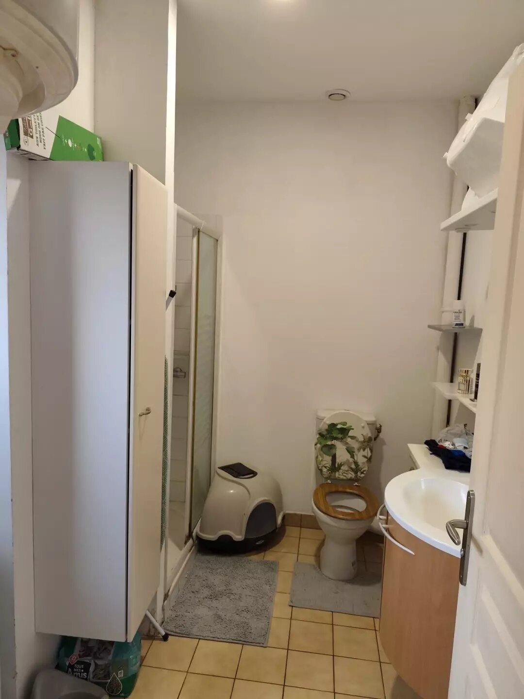 Maison à vendre, 98m², Sainte-Maure-de-Touraine