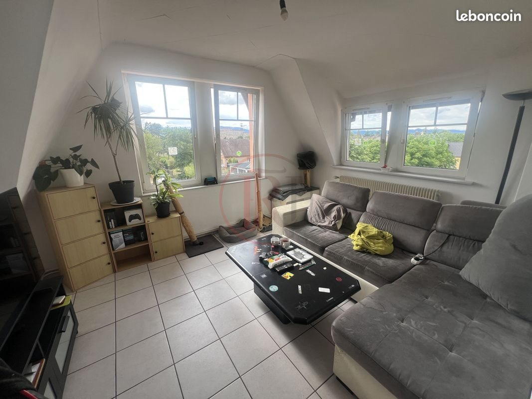 Appartement à vendre, 46m², Wittenheim