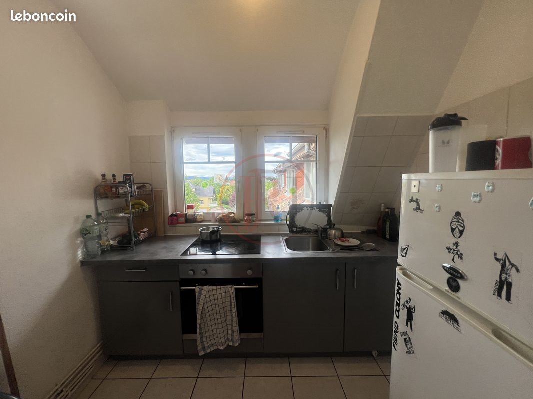 Appartement à vendre, 46m², Wittenheim