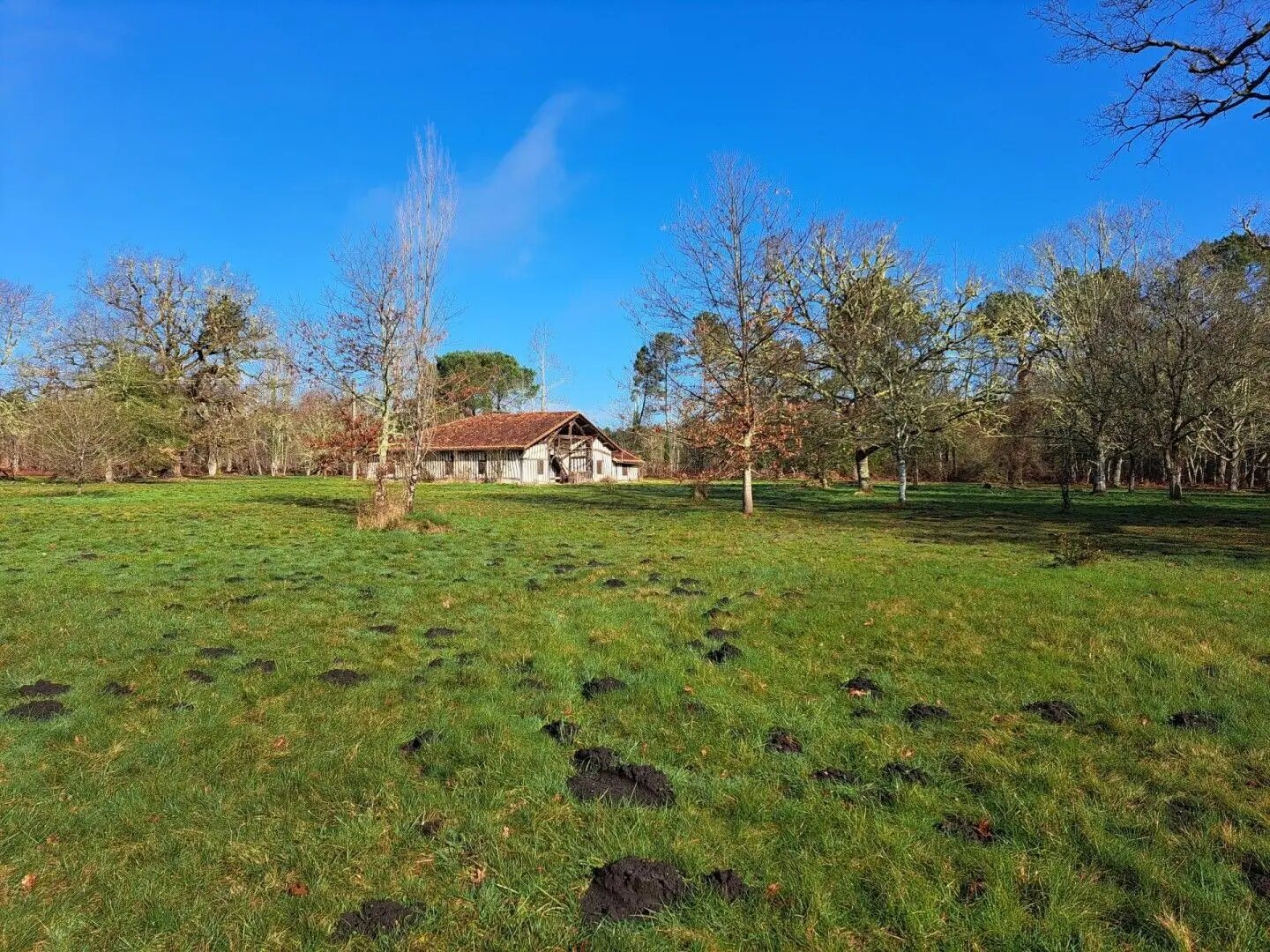 Maison à vendre, 297m², Retjons