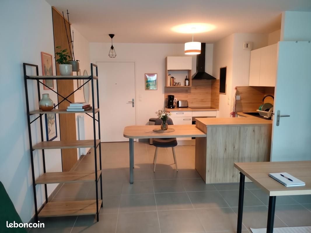 Appartement à louer, 47m², Angers