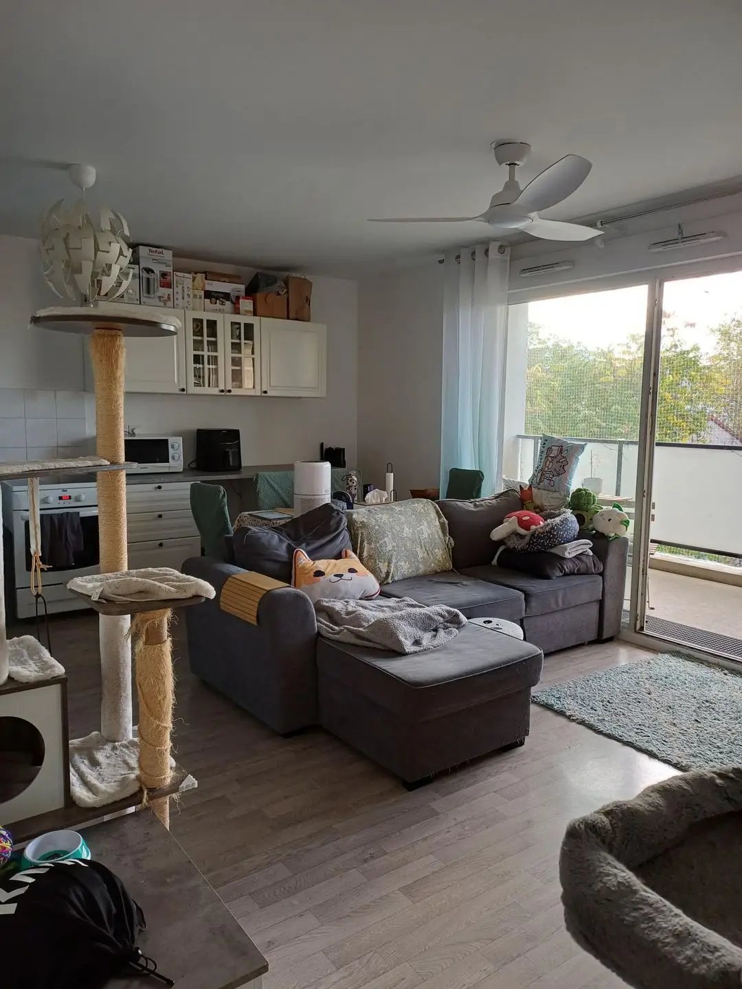 Appartement à louer, 59m², Vénissieux