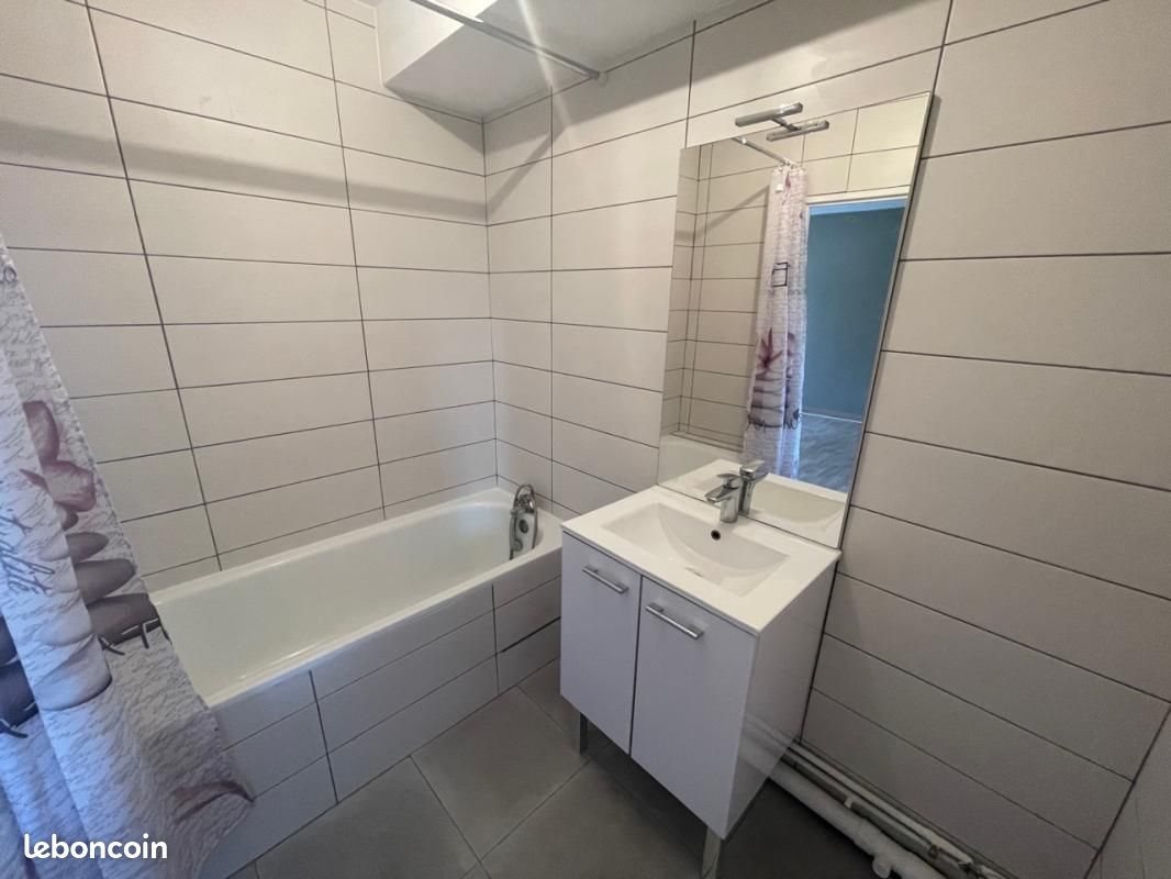 Appartement à louer, 29m², Nancy