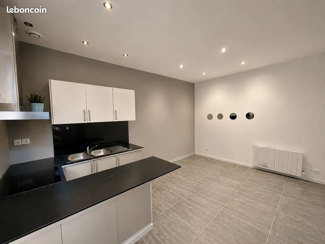 Appartement à louer, 36m², Villeurbanne