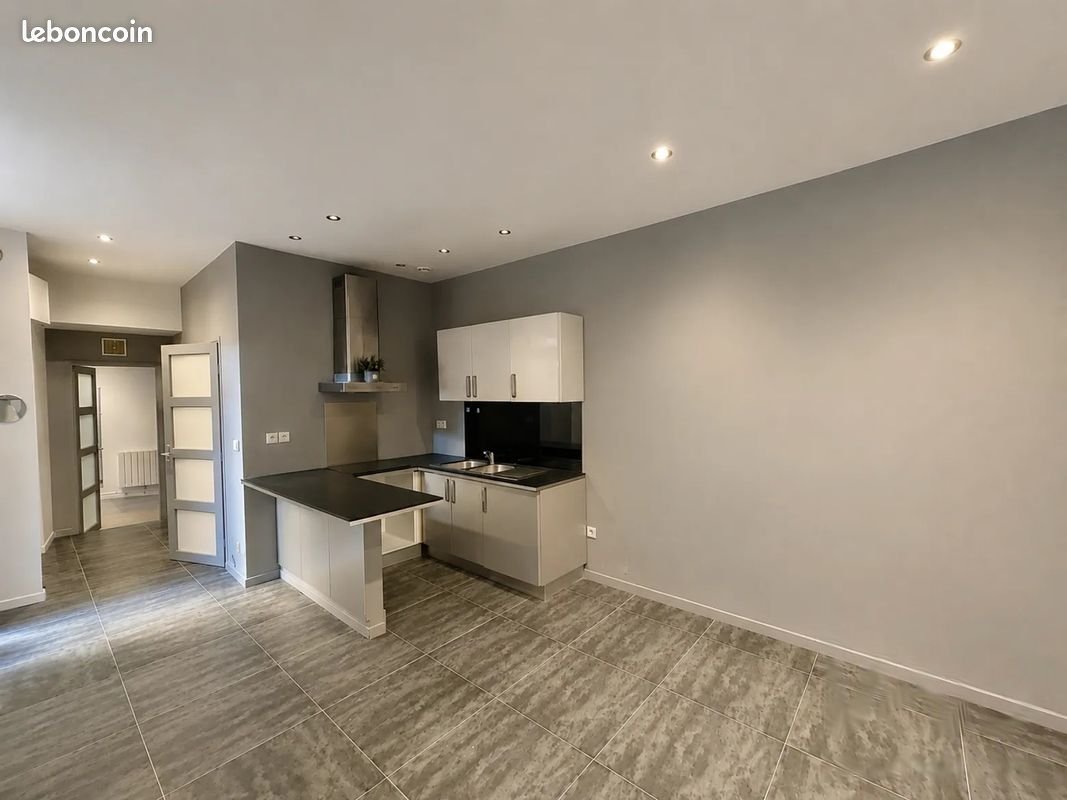 Appartement à louer, 36m², Villeurbanne