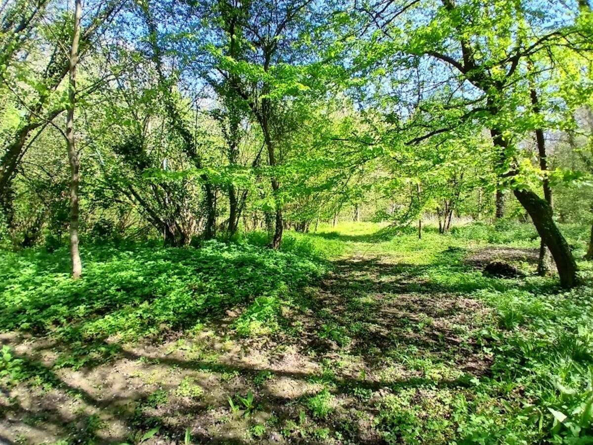 Maison à vendre, 170m², Estrée-Wamin