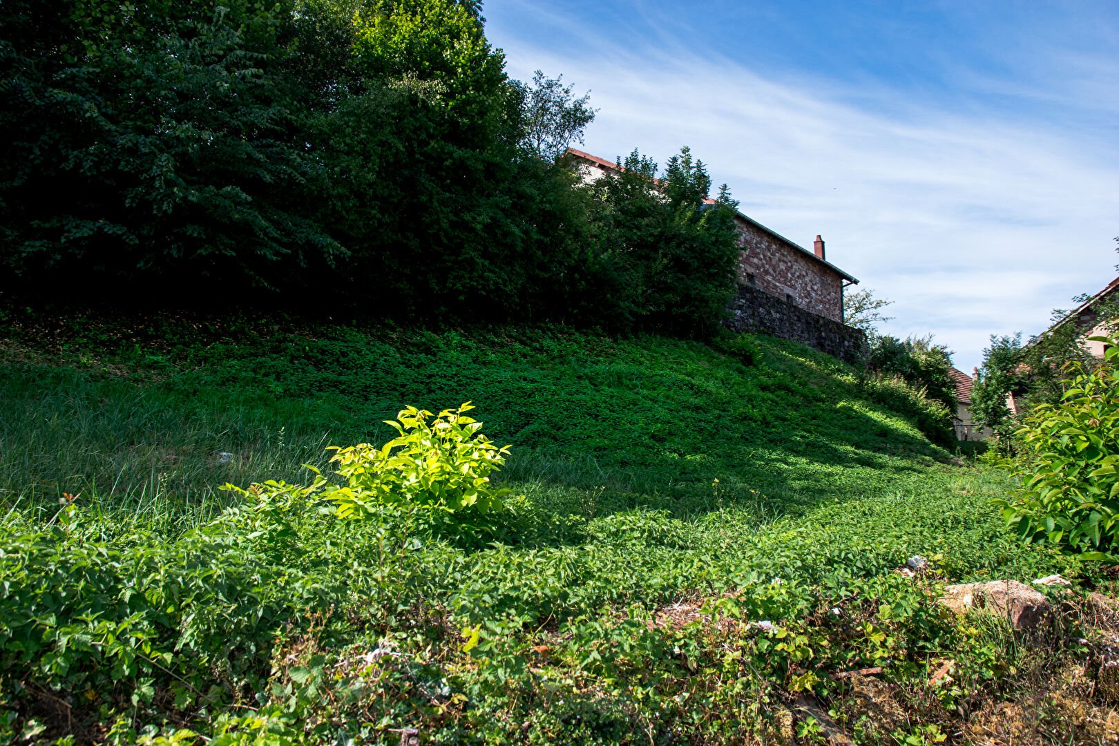 Maison à vendre, 300m², Saulnot