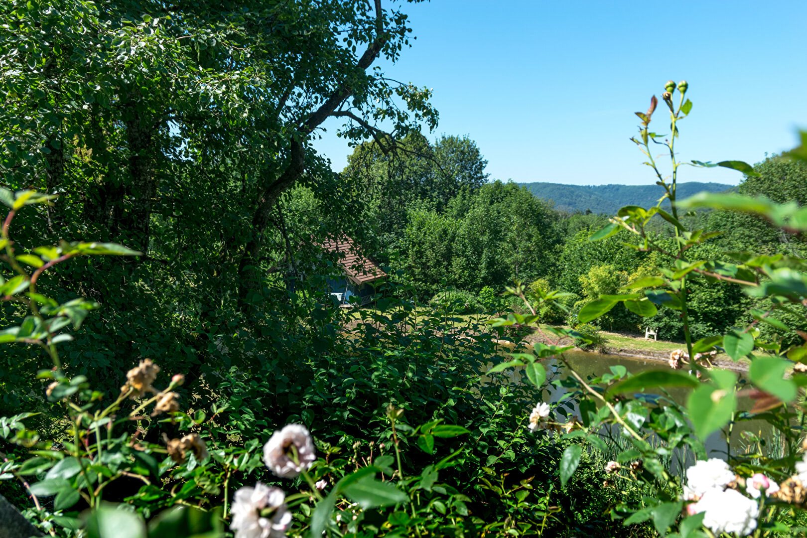Maison à vendre, 333m², Fresse