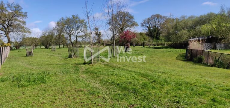 Maison à vendre, 243m², Sainte-Anne-sur-Brivet