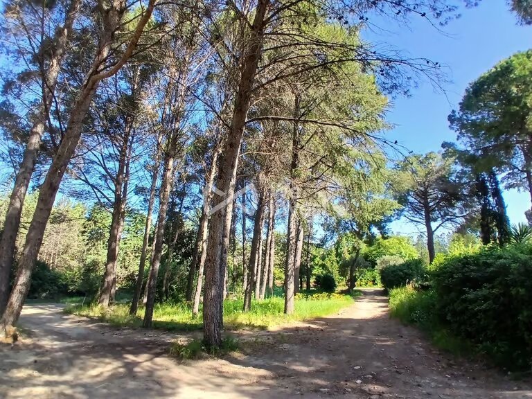 Maison à vendre, 206m², Clermont-l'Hérault