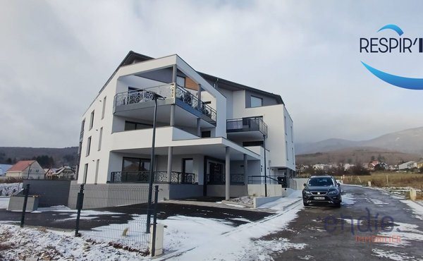 Appartement à vendre, 42m², Wattwiller