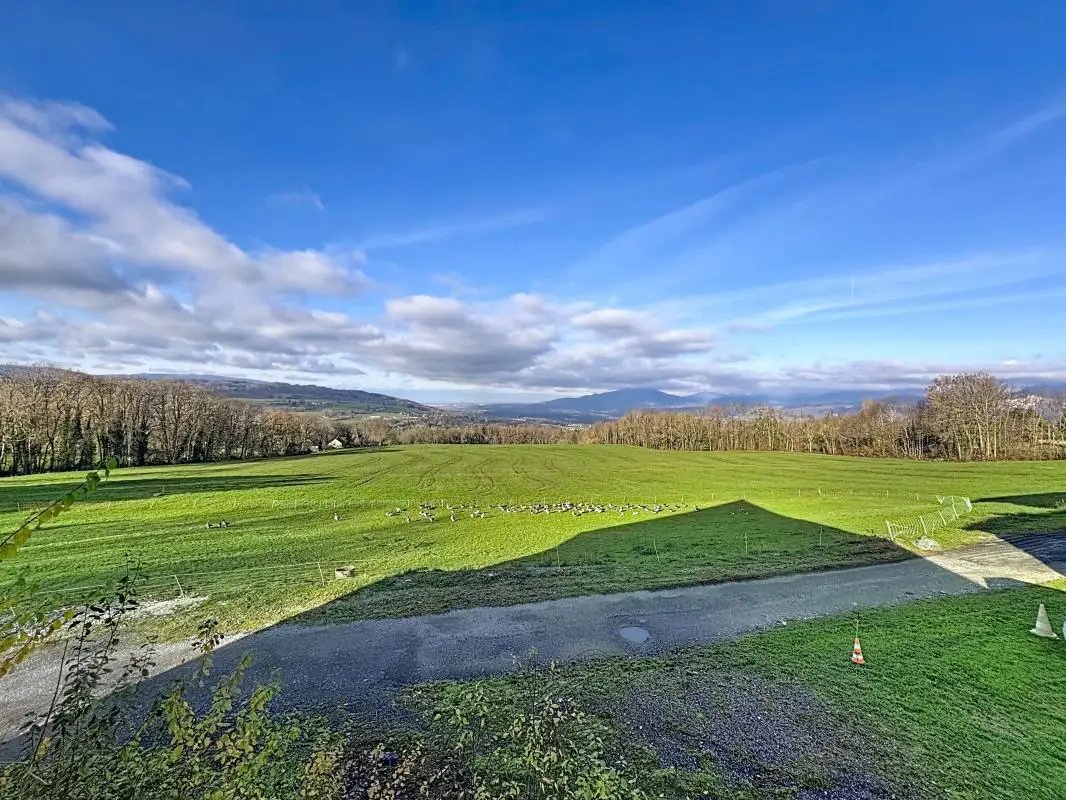 Maison à vendre, 440m², La Roche-sur-Foron