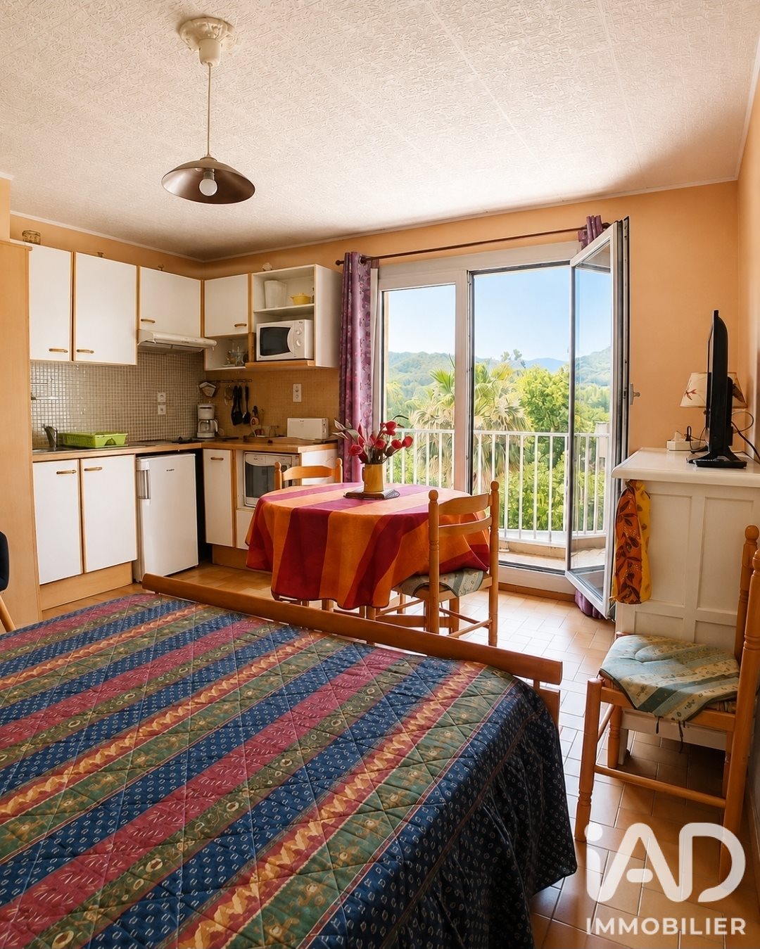 Appartement à vendre, 28m², Amélie-les-Bains-Palalda