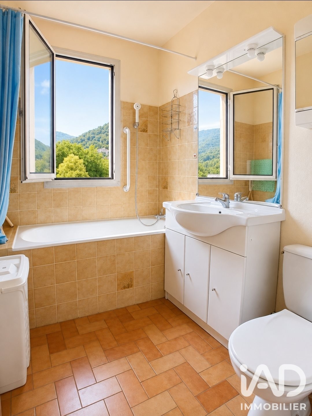 Appartement à vendre, 28m², Amélie-les-Bains-Palalda