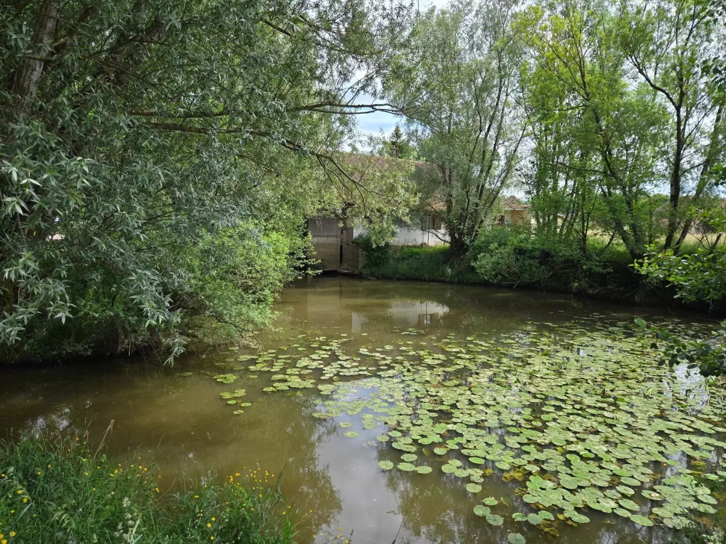Maison à vendre, 110m², Louhans