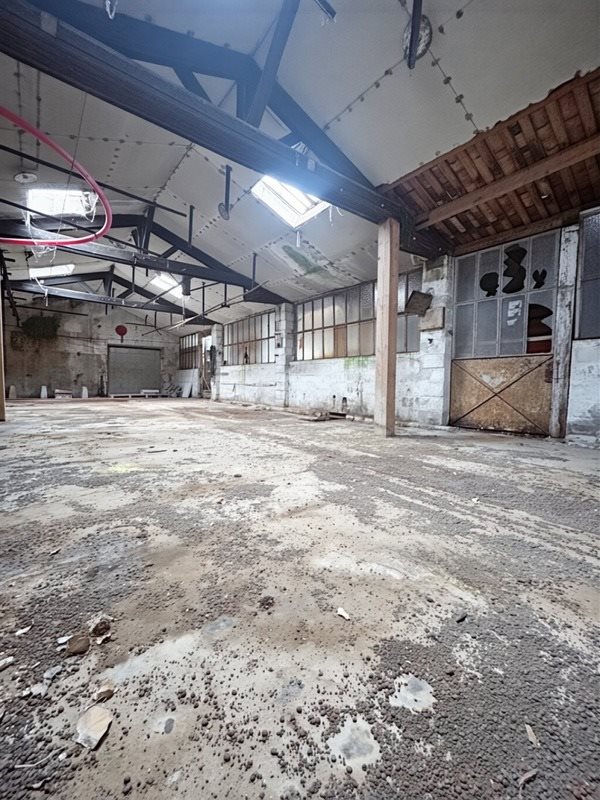 Maison à vendre, 250m², L'Isle-d'Espagnac