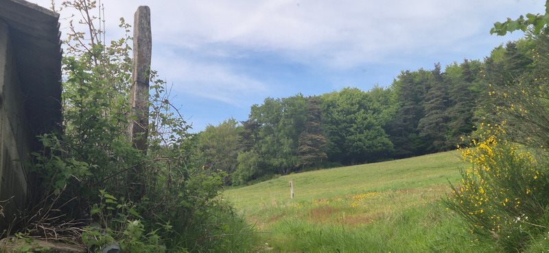 Maison à vendre, 800m², Le Malzieu-Forain