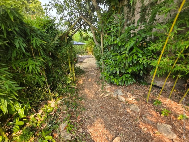 Maison à vendre, 98m², Saint-Léger-Magnazeix