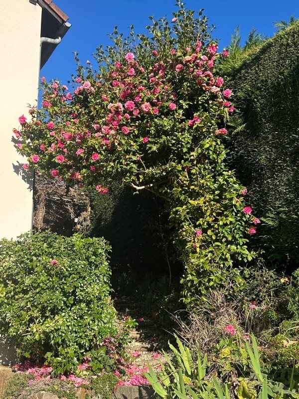 Maison à vendre, 126m², Ambazac