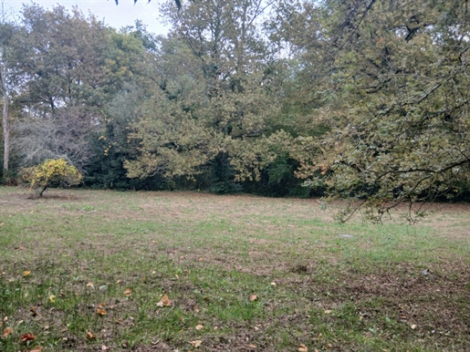 Advert pic 0