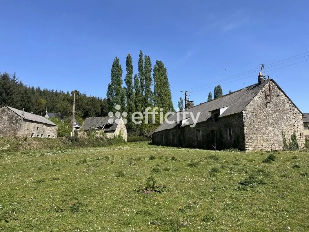 Maison à vendre, 300m², Séglien