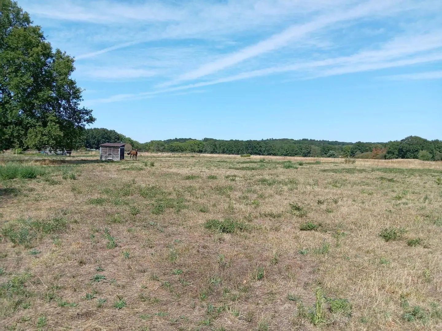 Maison à vendre, 98747m², La Guerche-sur-l'Aubois
