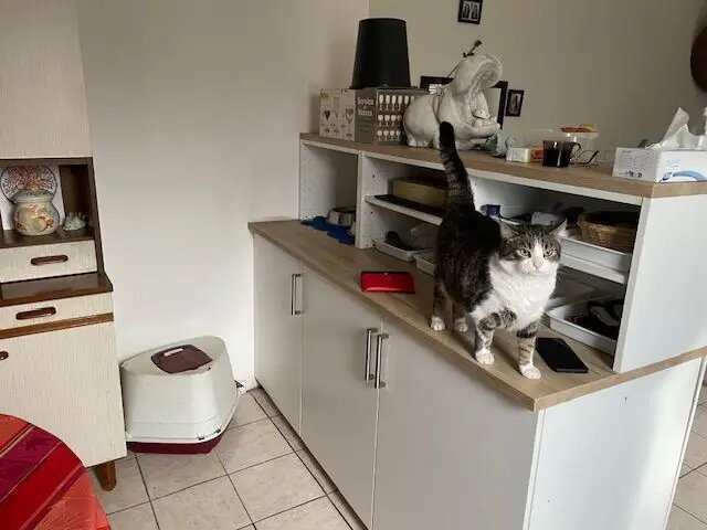 Maison à vendre, 70m², Tergnier