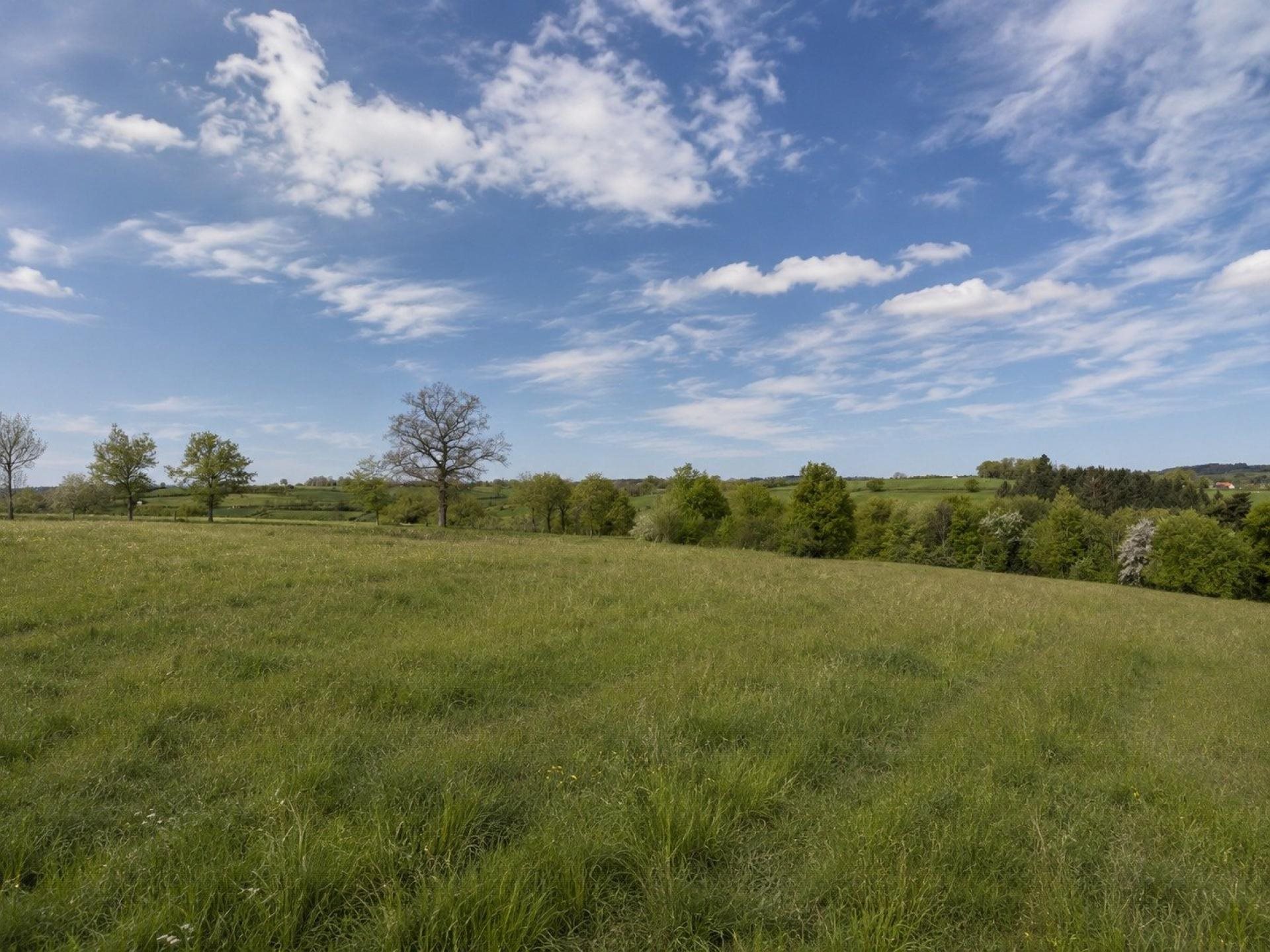 Maison à vendre, 210m², Rieupeyroux