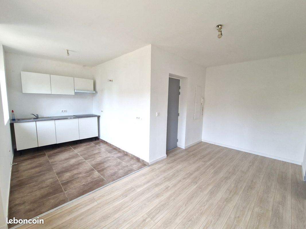 Appartement à louer, 40m², Ensisheim