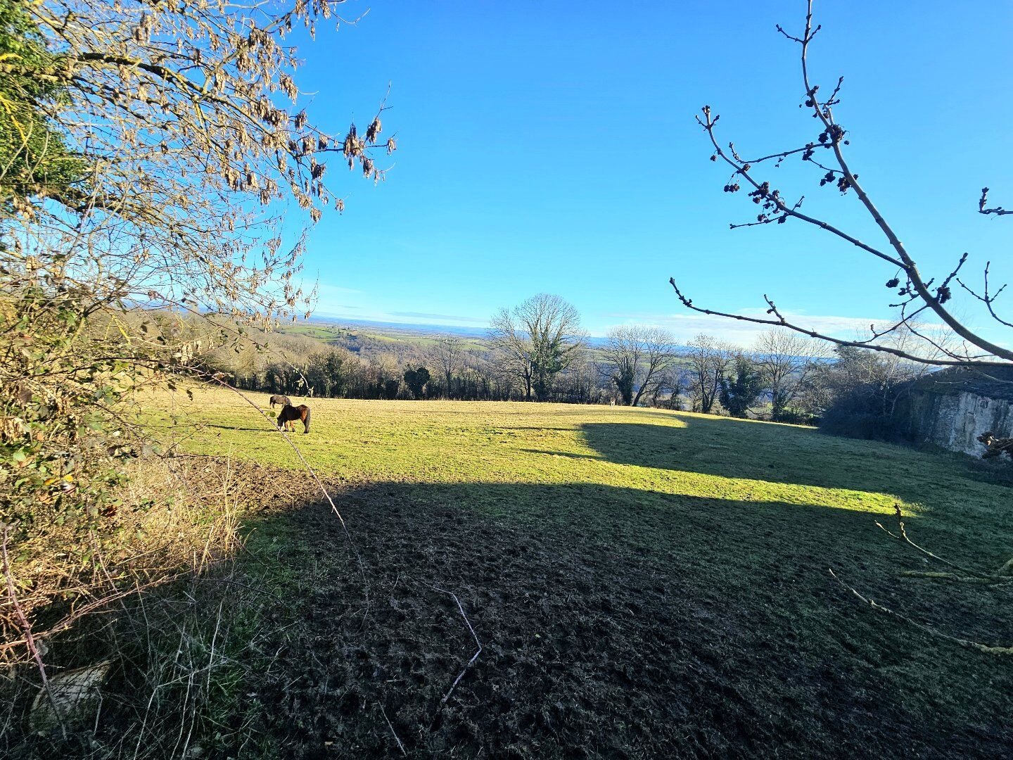Maison à vendre, 290m², Moyrazès