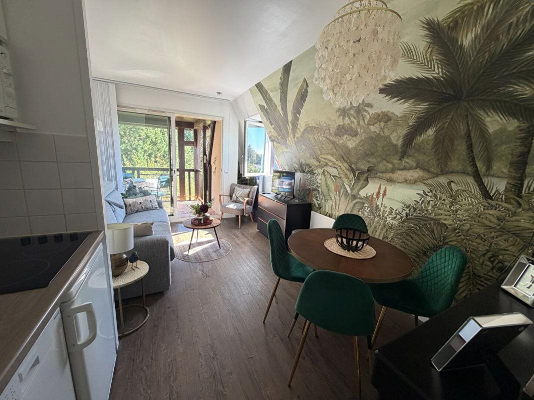 Appartement à vendre, 25m², Deauville