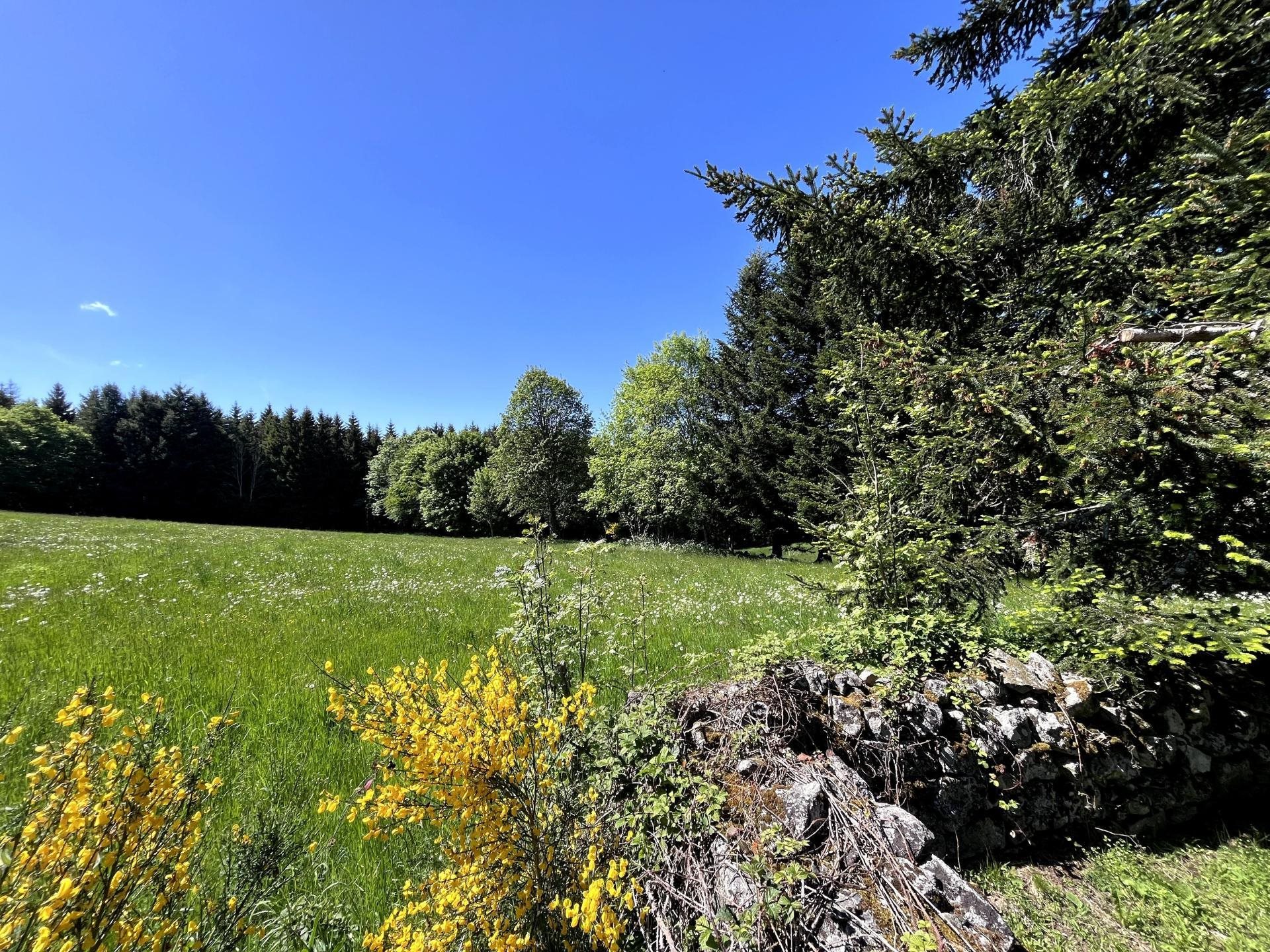 Maison à vendre, 120m², Saint-Jeures