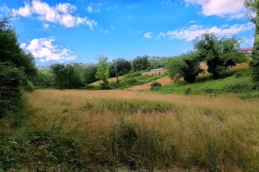 Terrain 4217 m² · à Mirandol-Bourgnounac · 4 217 m² · 46 500 €