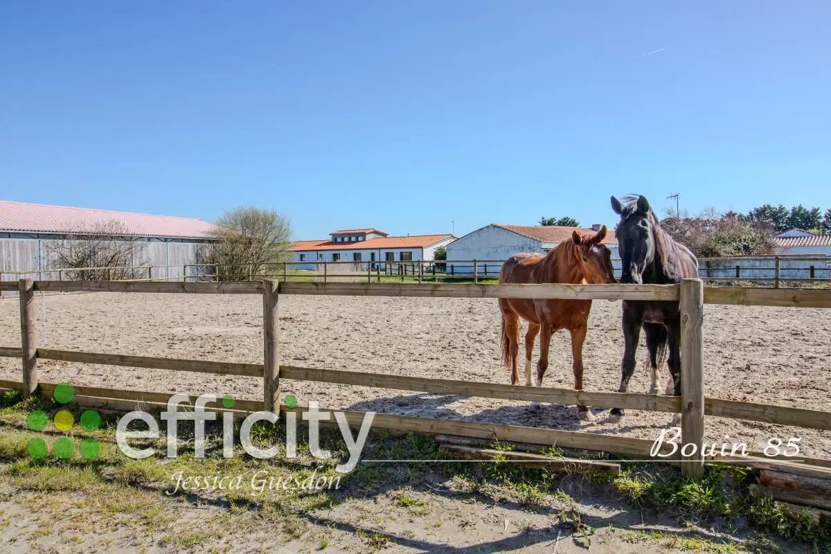 Maison à vendre, 270m², Bouin